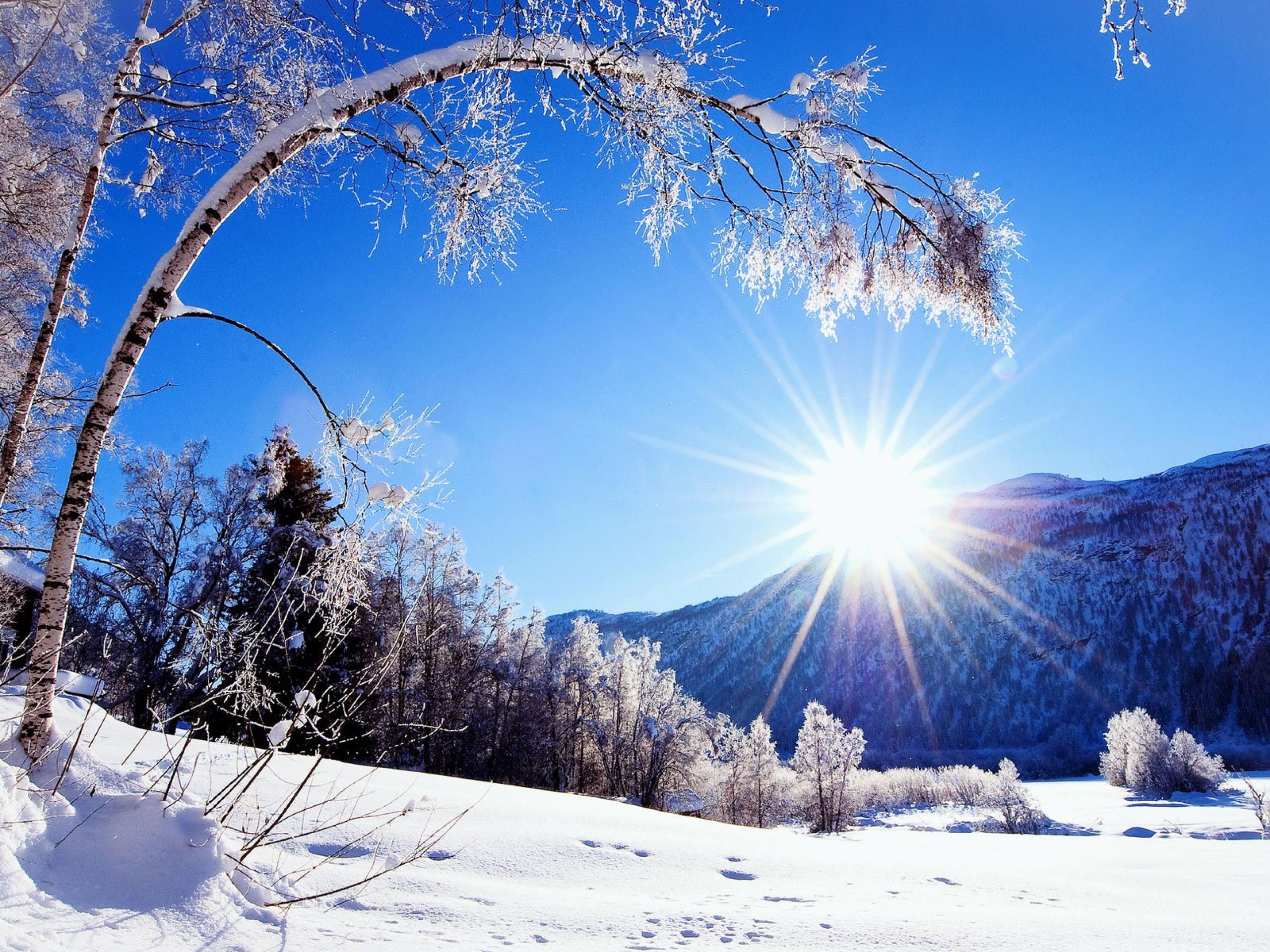 hiver hiver