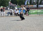 DSC03180.JPG